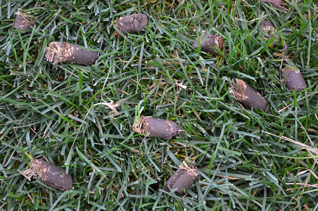 Core Aeration
