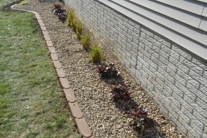 Landscape Bed and Plants