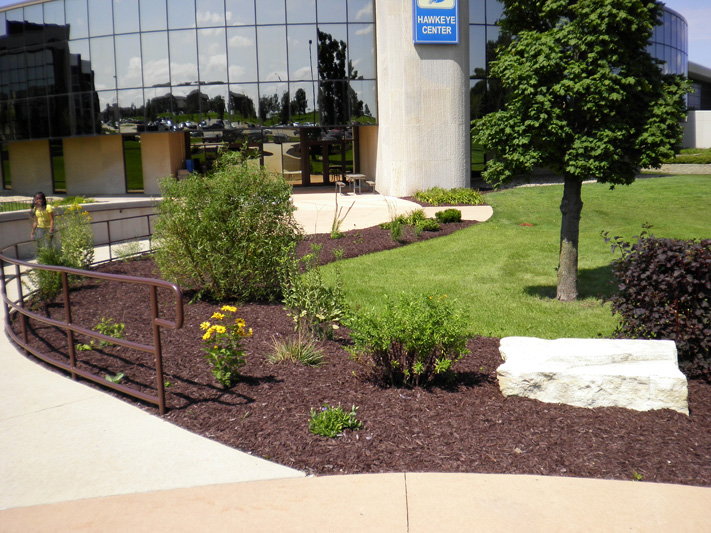 Installing Fresh Mulch