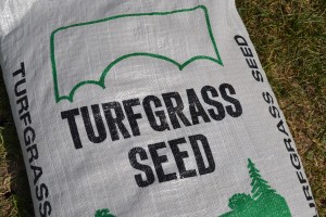 Turf Grass Seed Bag