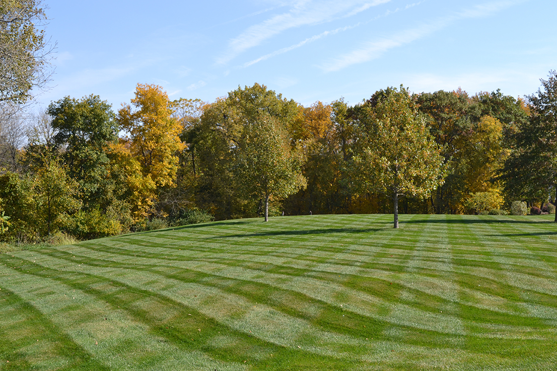 Turf Maintenance