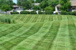 Retention Pond Mowing