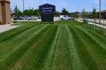 Lawn Mowing Hampton Inn