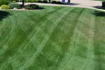 Lawn Mowing Pattern