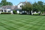 Mowing Green Lawn