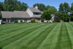 Well Manicured Lawn