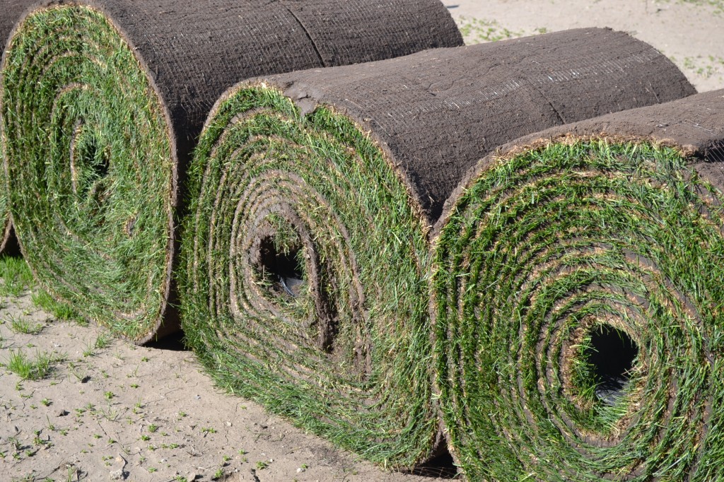 Sod Rolls