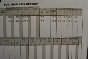 Soil Analysis