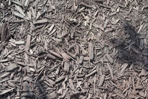 Topdressing Mulch