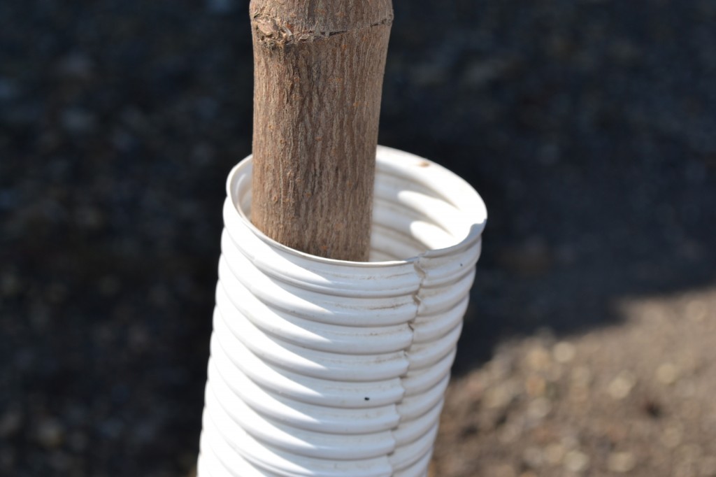 Tree guards will protect your young trees from bark damage 